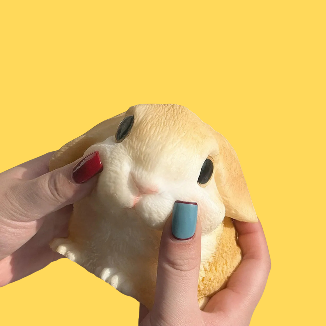 Squishy Rabbit Zen