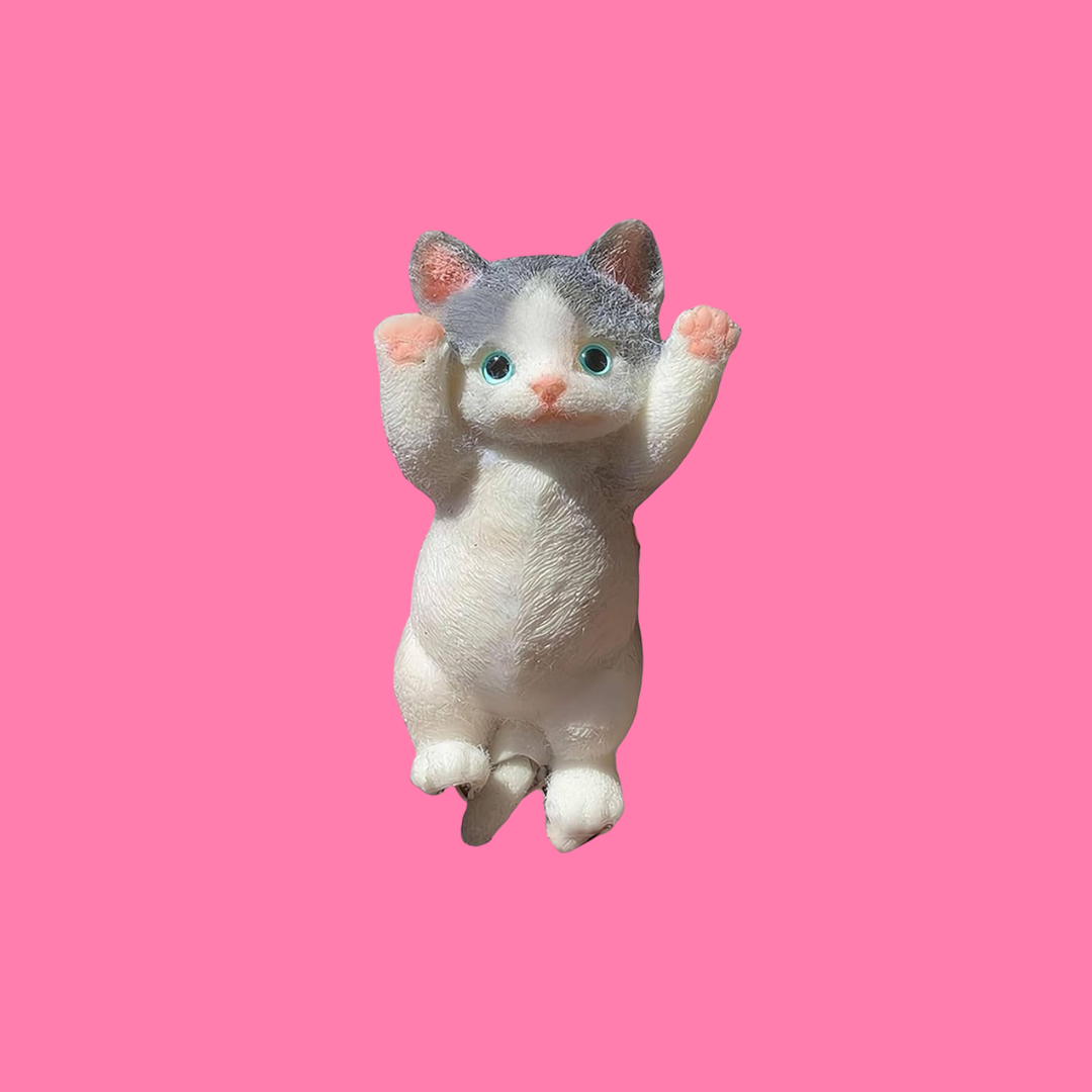 Cute Cat
