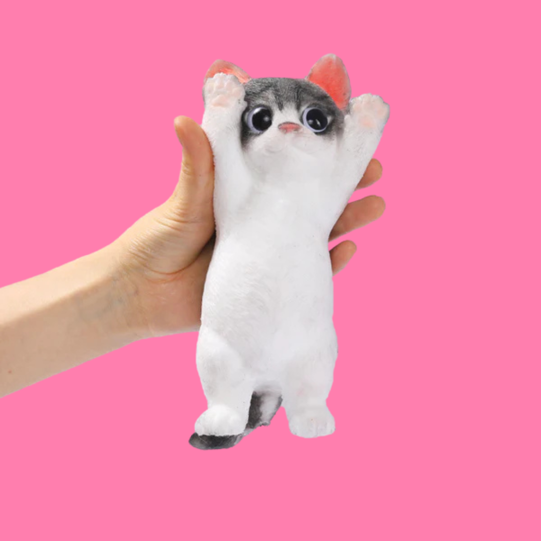 Cute Cat