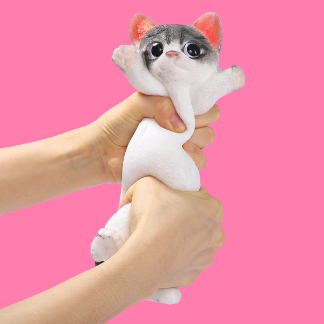 Cute Cat