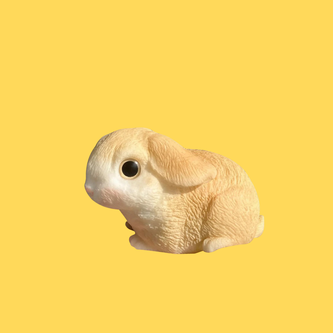 Conejo