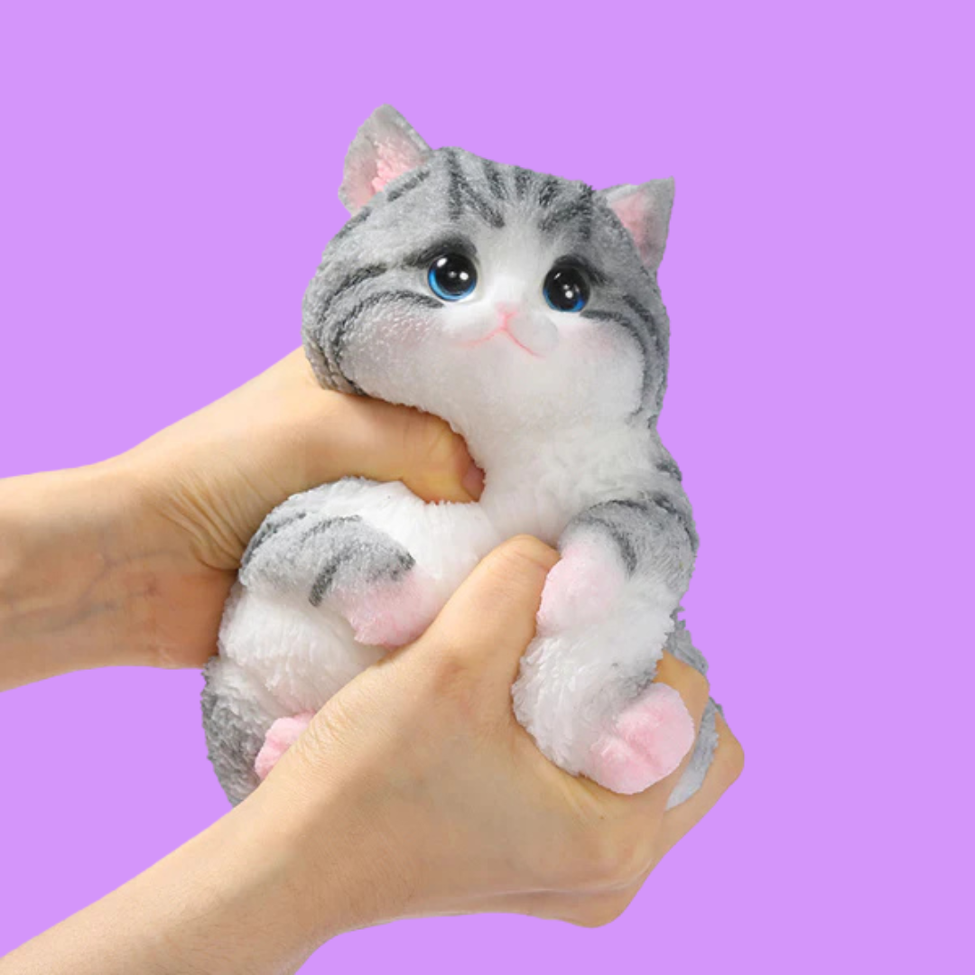 Squishy Cat Zen