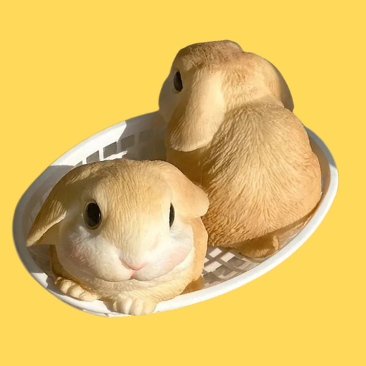 Squishy Rabbit Zen