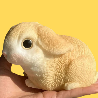 Squishy Rabbit Zen