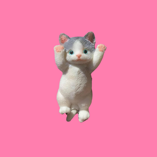 Cute Cat