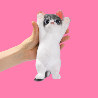 Cute Cat