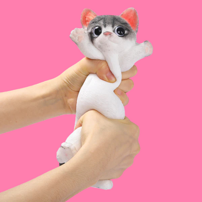Cute Cat