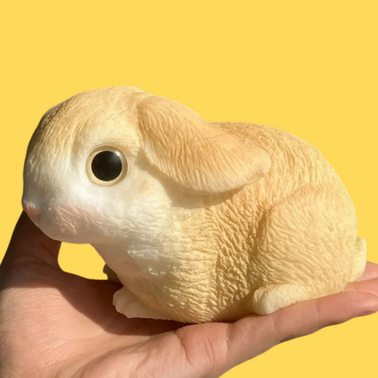 Conejo
