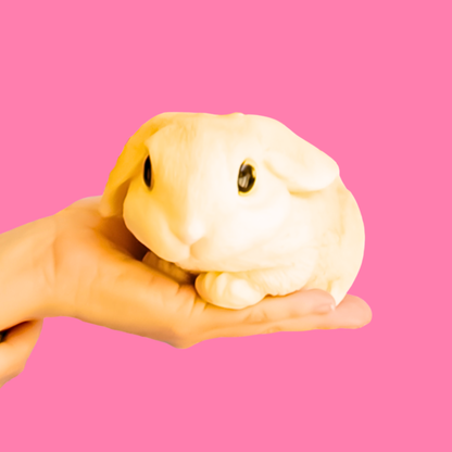 Conejo Premium Squishy