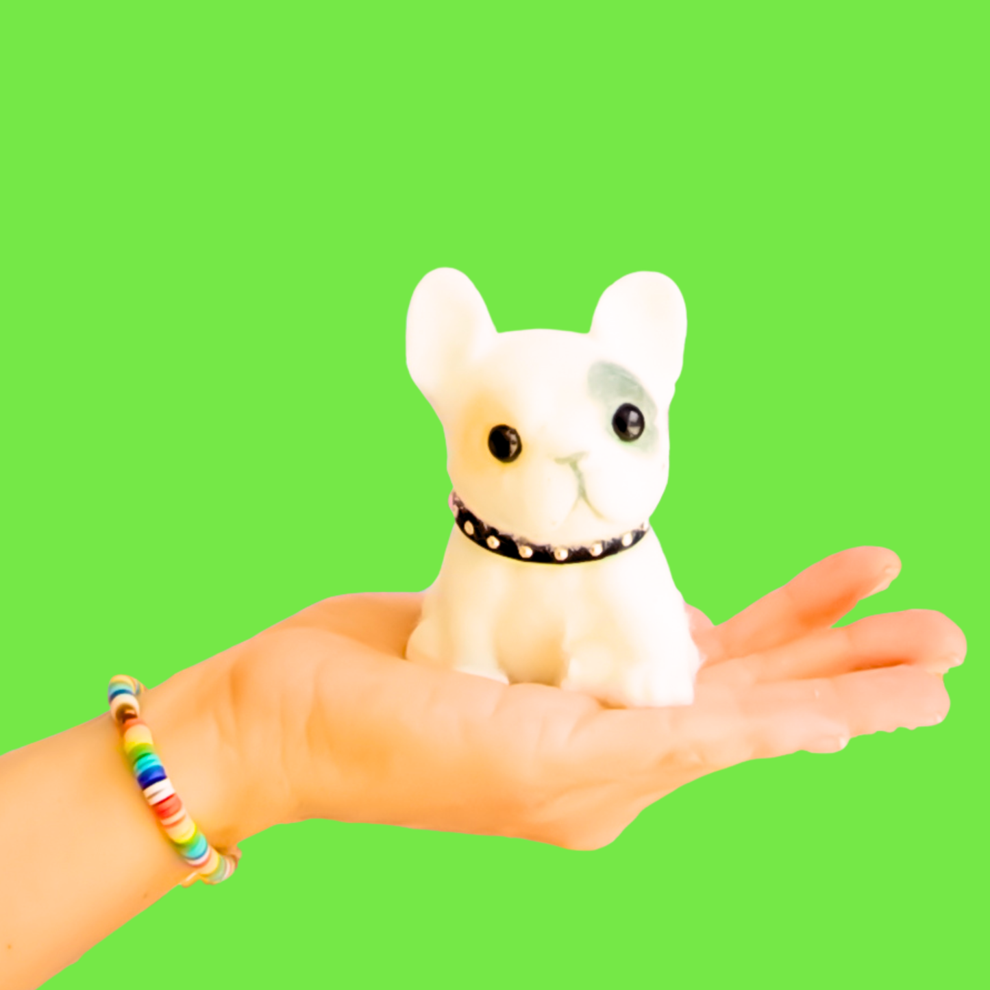 Mini Bulldog Squishy