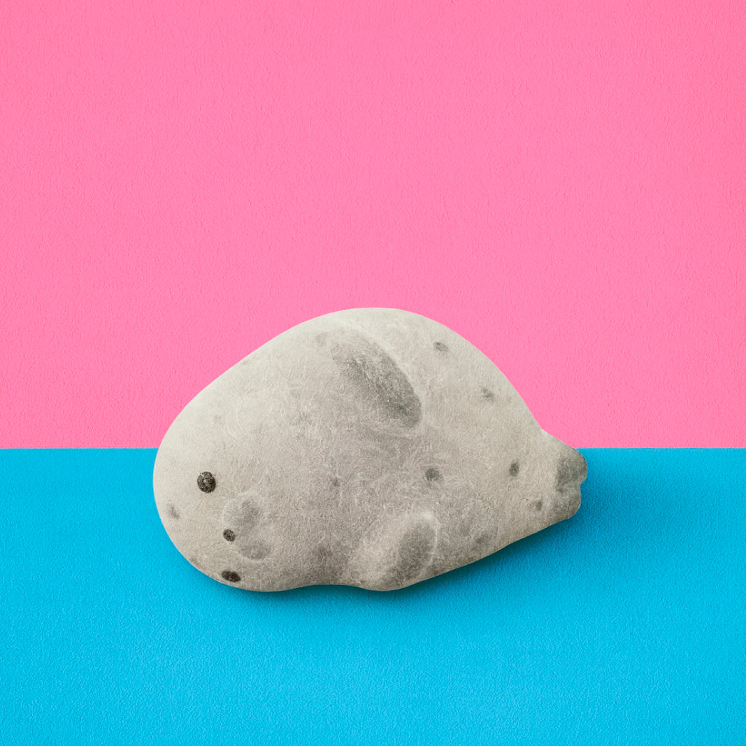 Foca Premium Squishy