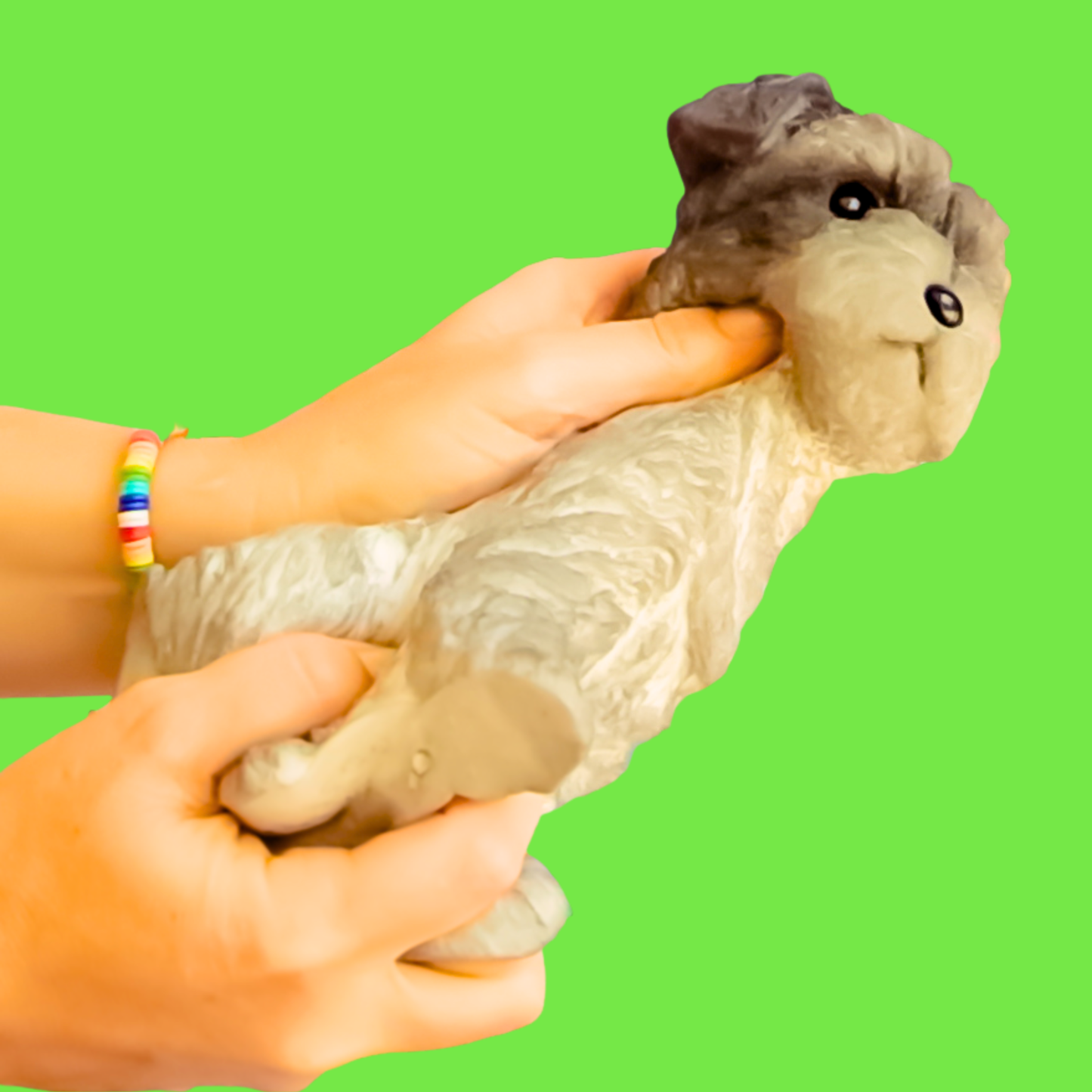 Perro Schnauzer Premium Squishy