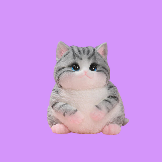 Squishy Cat Zen