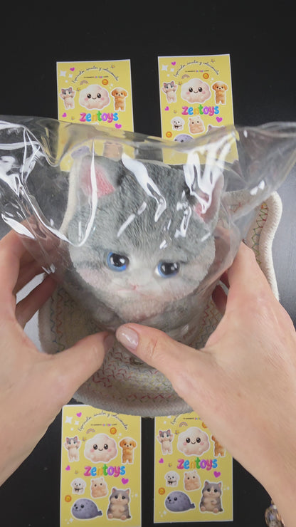 Gato Premium Squishy