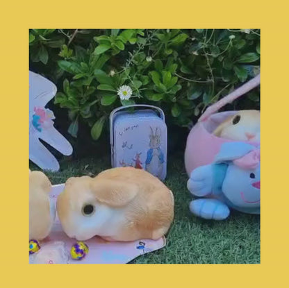 Conejo Premium Squishy