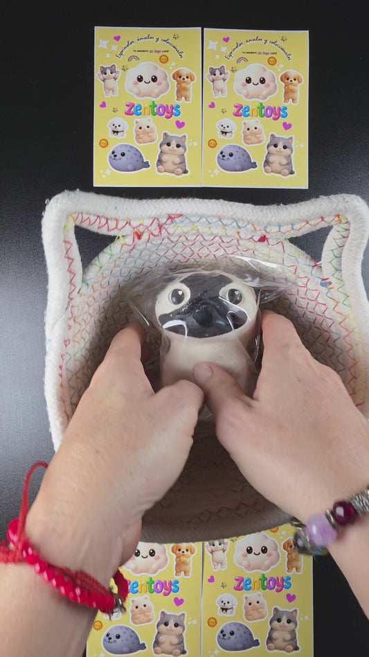 Pug Squishy